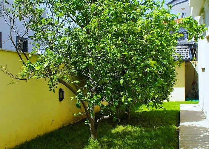 Vilă With Private Pool For 10 People In Dalyan Ortaca (Mugla)