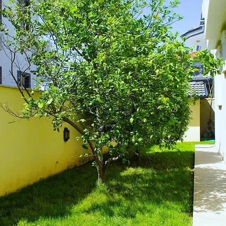 Willa With Private Pool For 10 People In Dalyan Ortaca (Mugla)