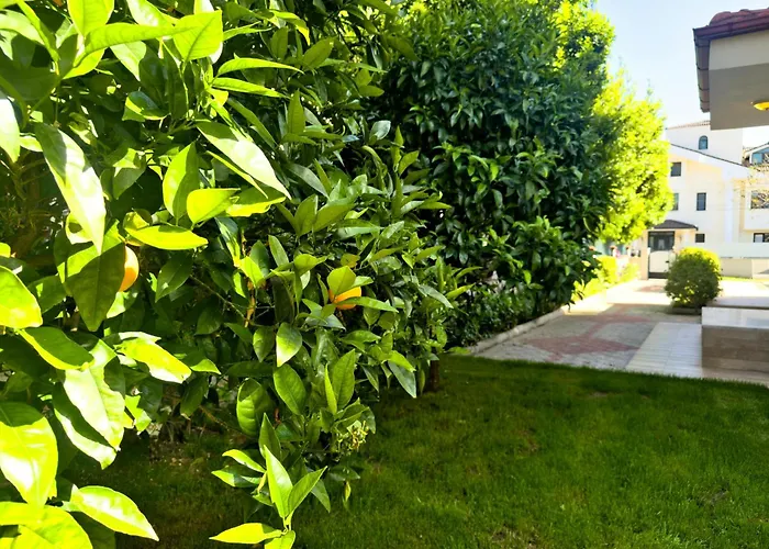 With Private Pool For 10 People In Dalyan ヴィラ